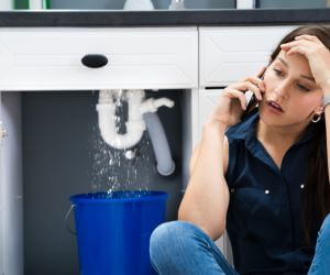About Plumbers Pros Lisman, AL